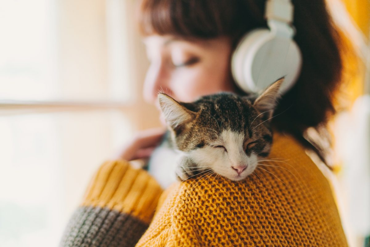 Kedi İhtiyaç Listesi