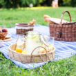 Piknik Malzemeleri Listesi