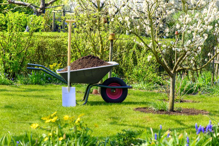 Evinizin Bahçıvanı Olun: Gerekli Bahçe Aletleri Neler?