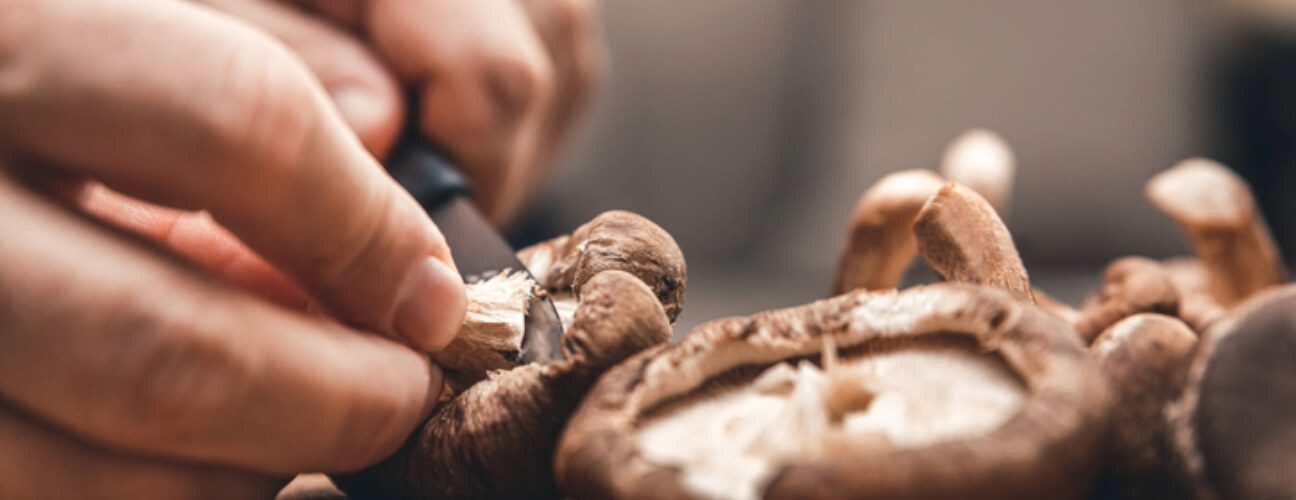 Mantar Nasıl Temizlenir? Yıkamak Gerekir Mi