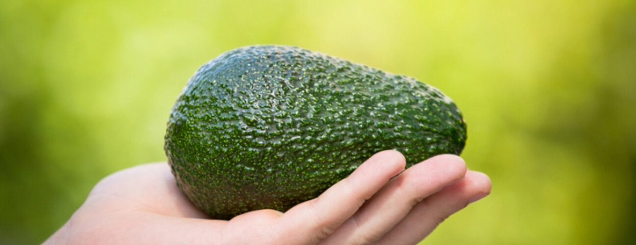 Olgunlaşmamış Avokado Nasıl Saklanır?