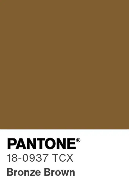 Renk Paleti Bronze Brown