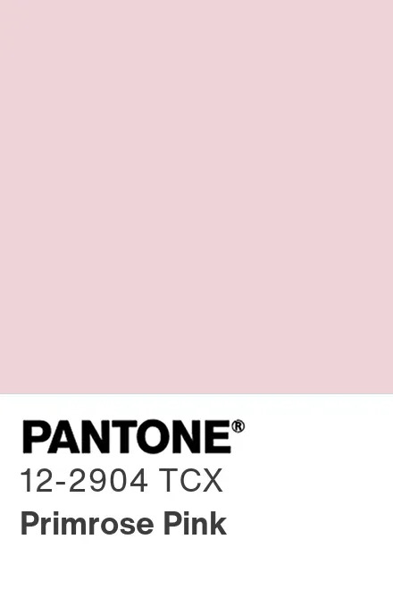 Renk Paleti Primrose Pink
