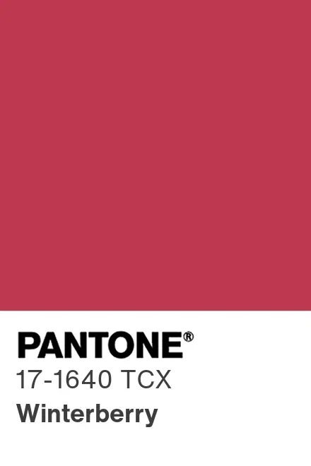 Renk Paleti Winterberry