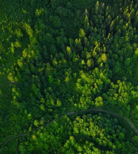 karbon ayak izi gelecek için sürdürülebilir çözümler
