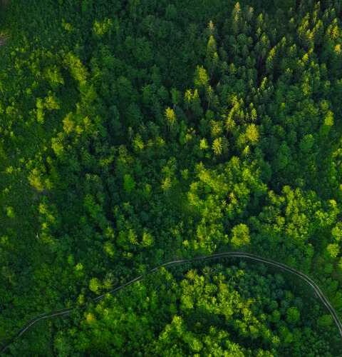 karbon ayak izi gelecek için sürdürülebilir çözümler