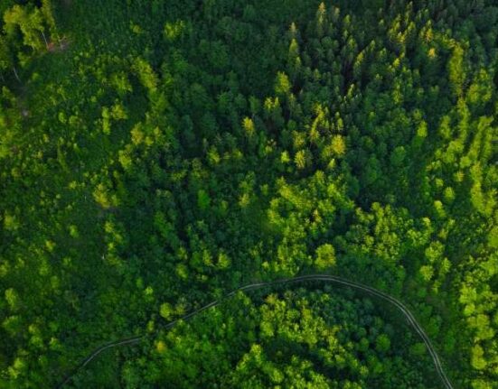 karbon ayak izi gelecek için sürdürülebilir çözümler