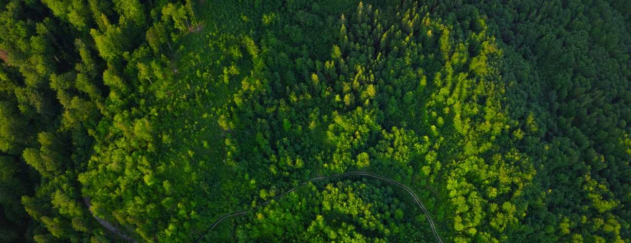 karbon ayak izi gelecek için sürdürülebilir çözümler