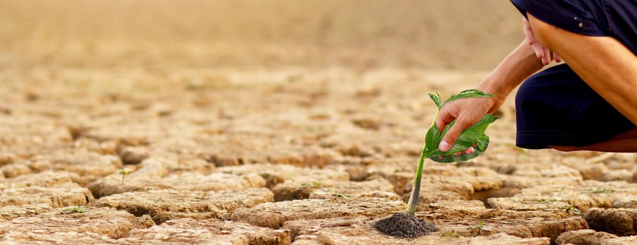 karbon ayak izi zararları nelerdir