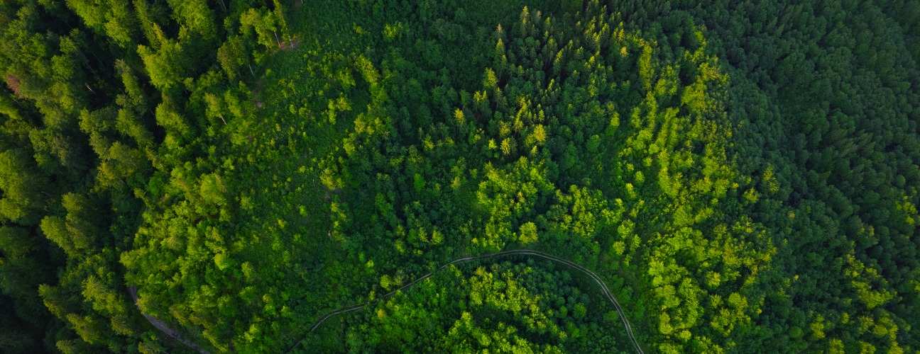 karbon ayak izi nasıl azaltılır