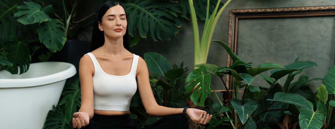 Zen Bahçesi Felsefesi Nelerdir