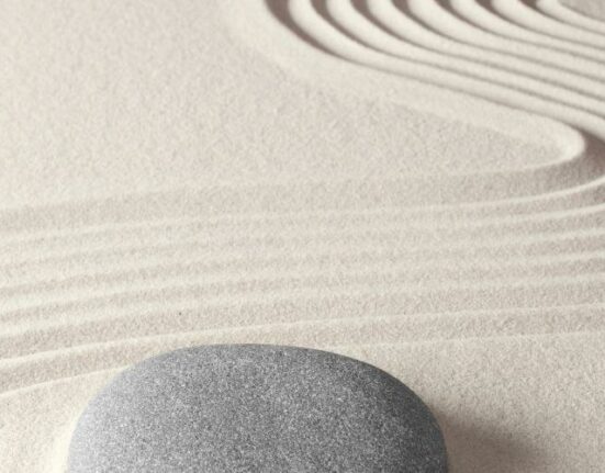 zen bahcesi yaparken dikkat edilmesi gerekenler