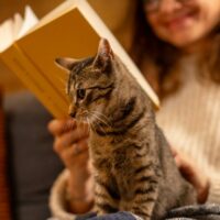 en uzun geceyi en iyi şekilde değerlendirebileceğiniz aktivite önerileri