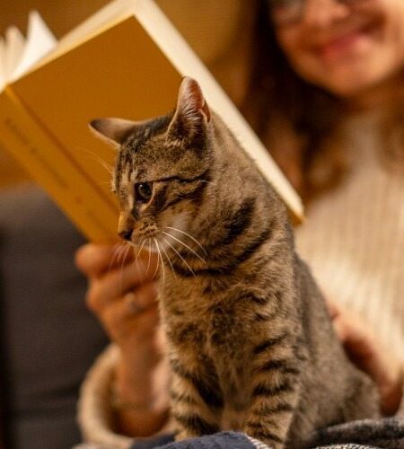 en uzun geceyi en iyi şekilde değerlendirebileceğiniz aktivite önerileri