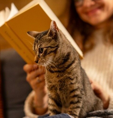 en uzun geceyi en iyi şekilde değerlendirebileceğiniz aktivite önerileri