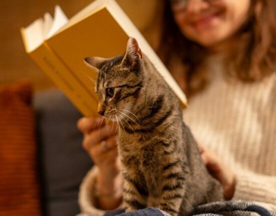 en uzun geceyi en iyi şekilde değerlendirebileceğiniz aktivite önerileri