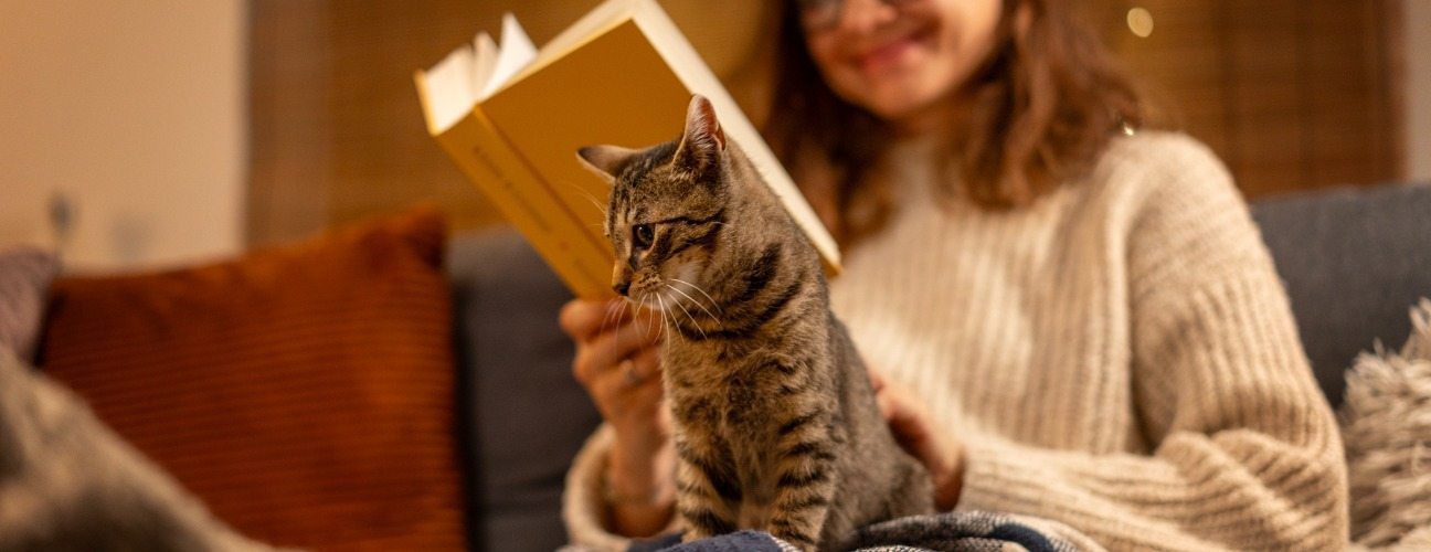 en uzun geceyi en iyi şekilde değerlendirebileceğiniz aktivite önerileri