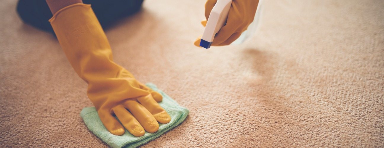 halı ve koltukta yag lekesi temızlıgı