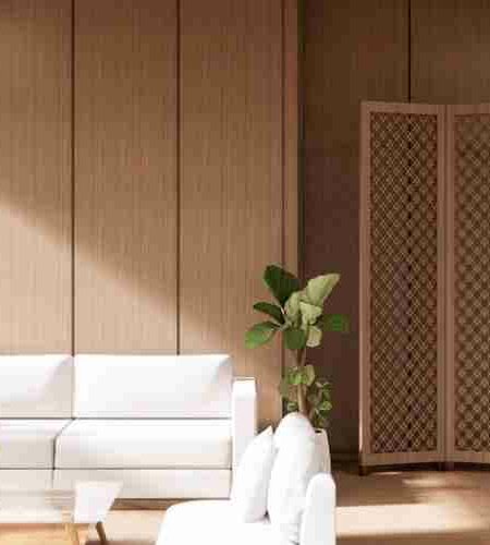 seperat&ouml;r paravan nedir