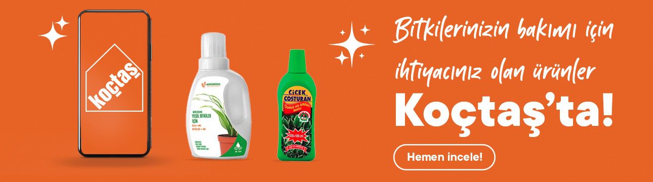 ko&ccedil;taş bitki bakımı banner