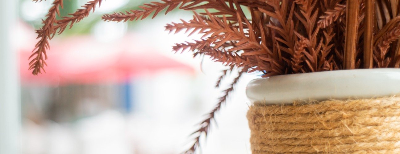 Vazo Kullanım ve Dekorasyon &Ouml;nerileri