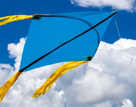 Evde U&ccedil;urtma Yapımı: Gerekli Malzemeler ve Yapılışı